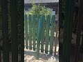 полисадник