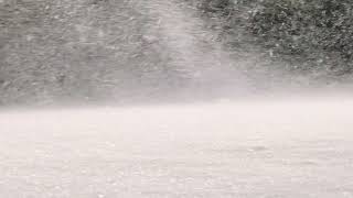 Winter Storm Ambience with Icy Howling Wind Sounds for Sleeping, Relaxing and Studying Background.