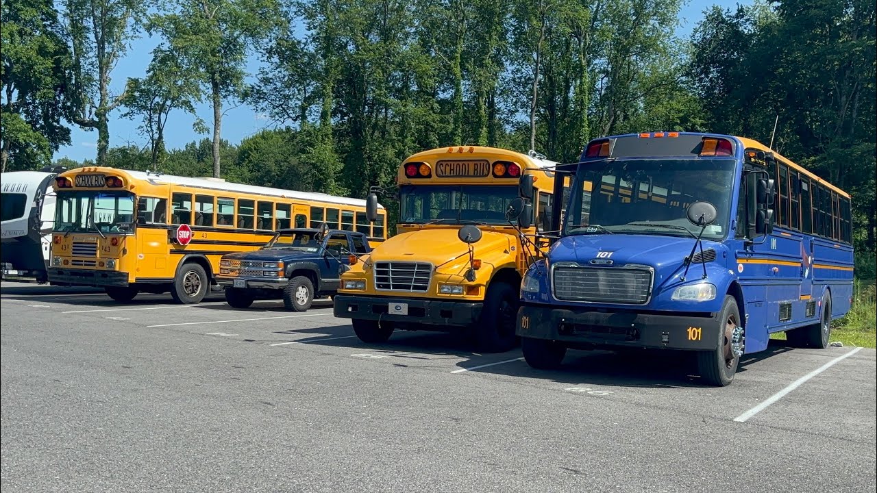 Summer Update On The Buses