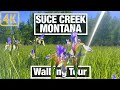 4K City Walks - Montana - Suce Creek Trail Near Livingston - Virtual Walking Trails for Treadmill