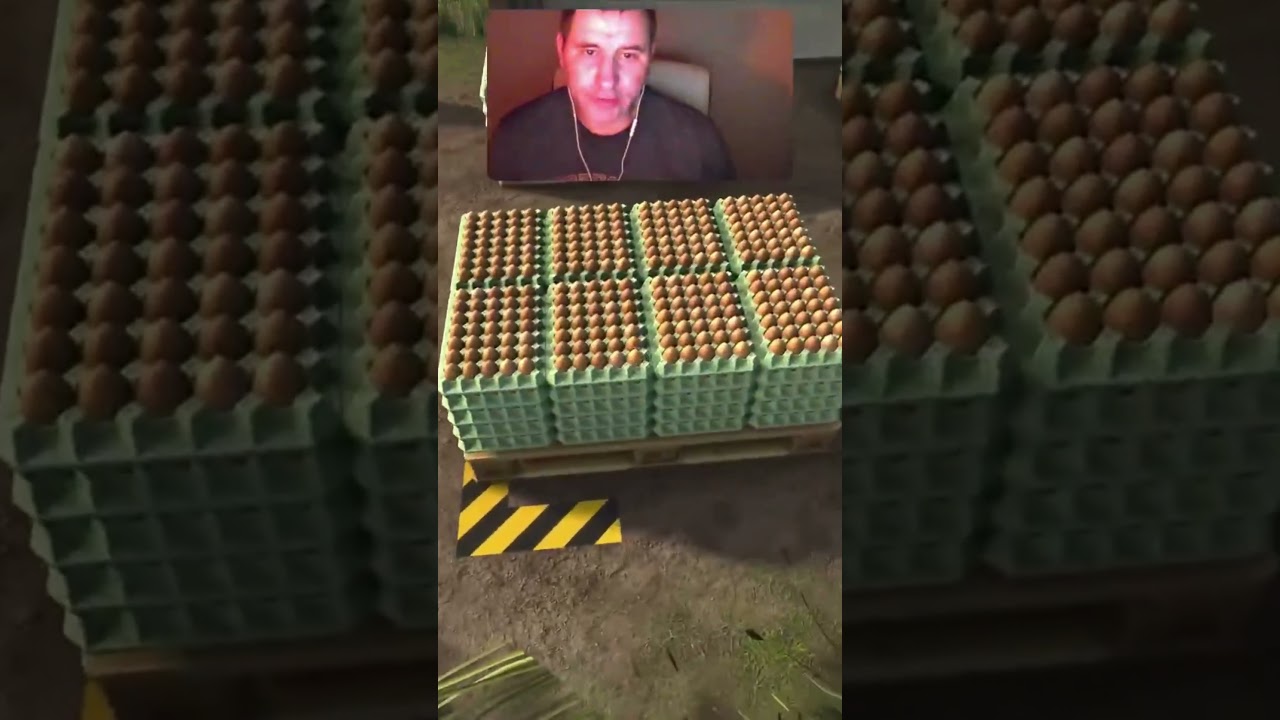 Farming Simulator 25 easy egg selling