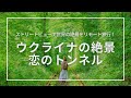 【ウクライナ絶景】”恋のトンネル”にリモート旅行！行き方やベストシーズン・訪問時の注意点