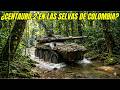 Si llegara el Centauro 2 a Colombia? Un cazatanques superbrutal