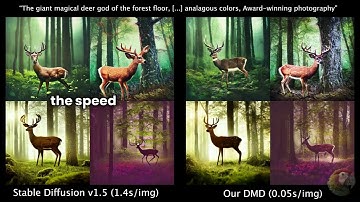 What is Distribution Matching Distillation (DMD)?
