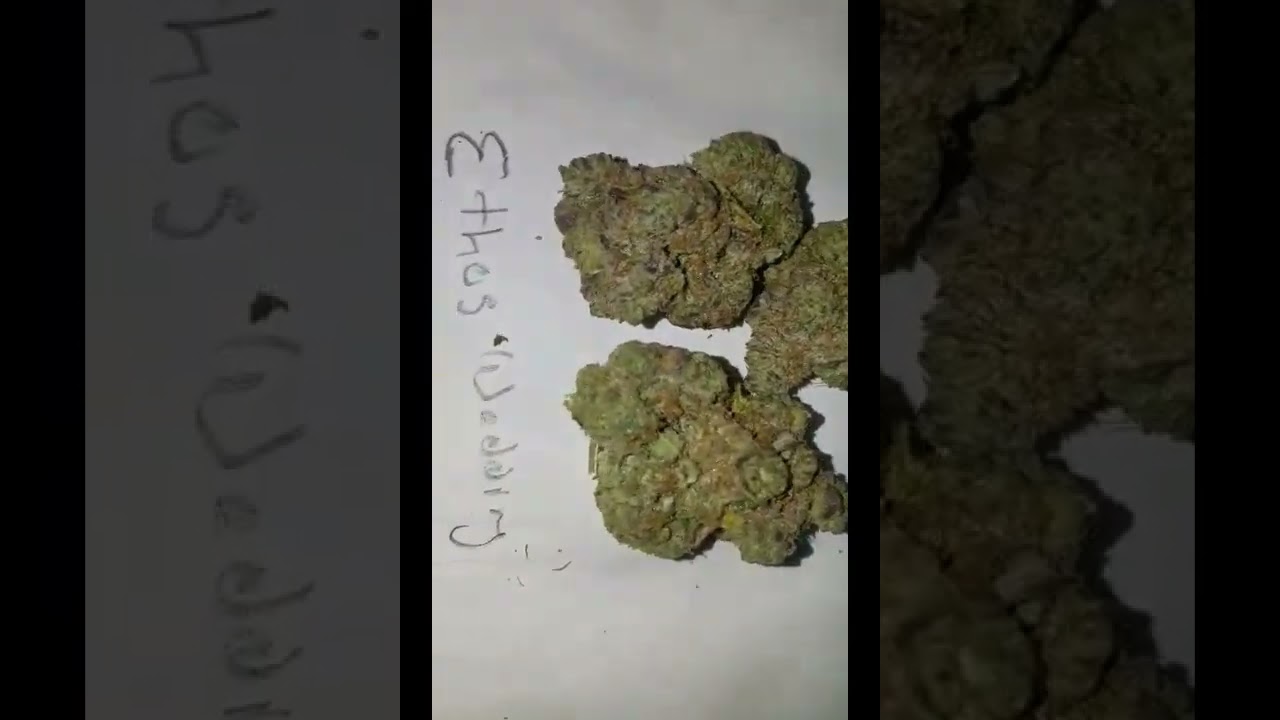 Best MMJ of 2022 Some of Colorado's best!