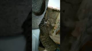 Gülüşünü Soldurma