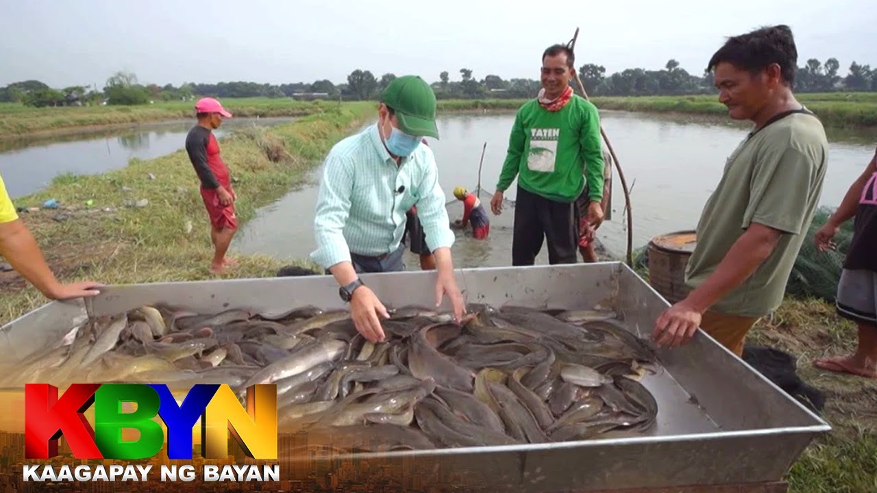 KBYN: Paano magpatakbo ng negosyo sa hito?