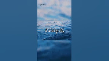 سورة الزلزلة... بصوت القارئ حسام الدين... راحه نفسيه ما شاء الله كميه من الهدوء 🎧🎧