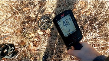 Minelab Manticore & XP Deus II Comparing Signals At A Relic Site