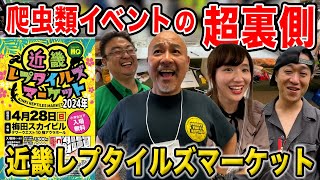 【裏側】爬虫類イベント近レプのリアルすぎる裏側を公開します