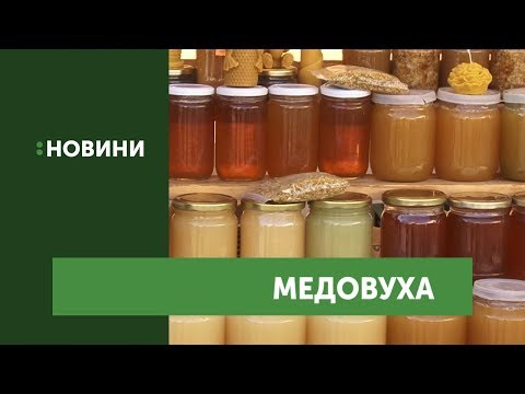 "Медовуху-фест" офіційно відкрили