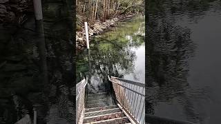 Never Jump Into Calm Lakes Again 🚫 #factshorts #scaryfacts #viralshorts