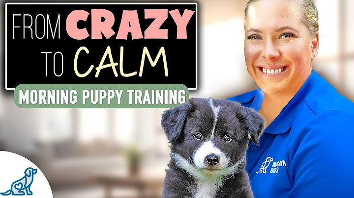 5 Things I Do With My Puppy Every Morning - Get Ready With Me