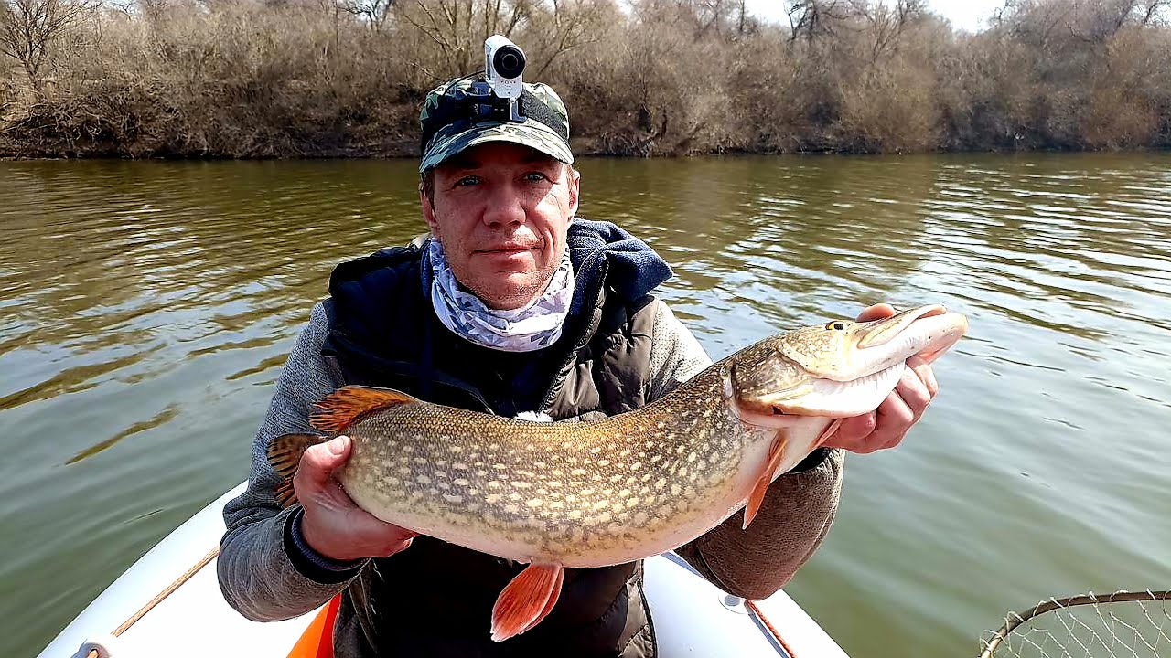 снасть на воблу в астрахани. рыбалка в астрахани 2022. рыбалка в астрахани весной. весенняя вобла в астрахани. ловля весной в астрахани.