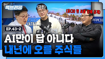 AI 말고 내년에 오를 주식들은 | 월가백브리핑