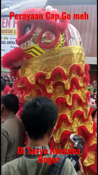 Perayaan Cap Go Meh, di surya kencana. Bogor. #shorts #imlek #bogorhits .