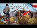K9 Units in Action | Most Viewed Moments | US COPS