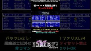 【切り抜き】FF5 カーバンクルを低Lv+黒魔道士統一でシバいてみた FINAL FANTASY V SFC版 Make it all the same of job & level1