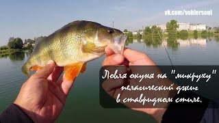 Ловля окуня на спиннинг. Пелагический джиг. Видео отчет от 28.06.2015(Видео отчет, о том как я выбрался прекрасным летним утром на небольшое озеро. Этот водоем находиться буквал..., 2015-07-01T17:13:50.000Z)