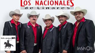 Video thumbnail of "Huapango El gusto Los Nacionales de Linares (en vivo)"