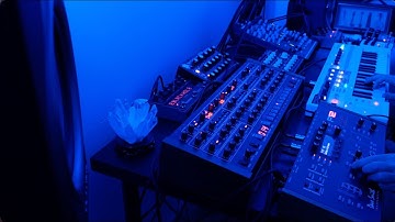 Nu // Ambient Session with Prophet 6, Prophet 12, Minitaur, Mono Lancet 