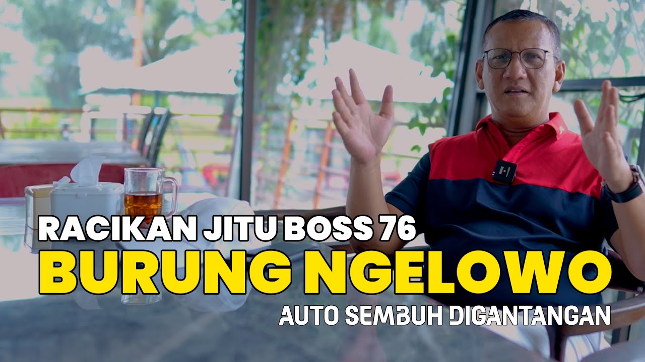 Racikan Jitu Boss 76 Murai Batu Junior dari Ngelowo Auto Sembuh digantangan