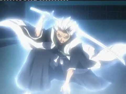 Animax-Bleach Promo