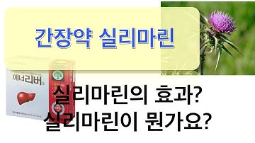 간장약 : 실리마린 이야기 첫번째, 실리마린에 대한 상식!!