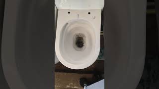 VERITY 1D OMNI SUITE 07 MISSO TEST (MORBI SANATERYWARE)