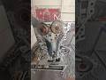 chain timing marks #youtubeshorts #video #mechanical #video