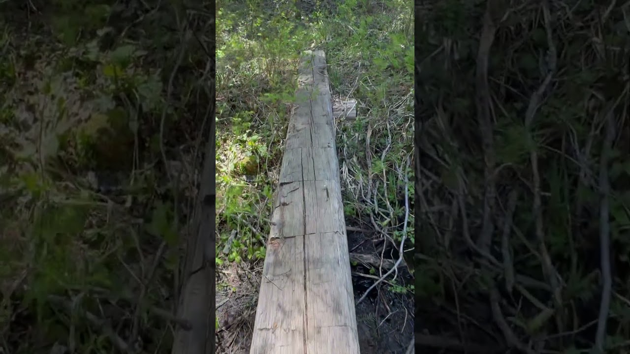 Peaceful Creek Crossing!! Traversing a Stunning Log Over Nature's Beauty!!