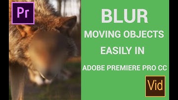 How to Easily Blur Moving Objects in Adobe Premiere Pro cc