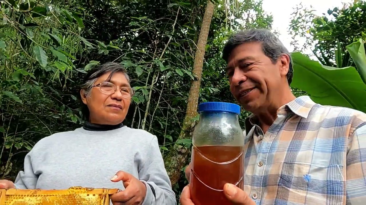 Libre y Saludable - PermApicultura