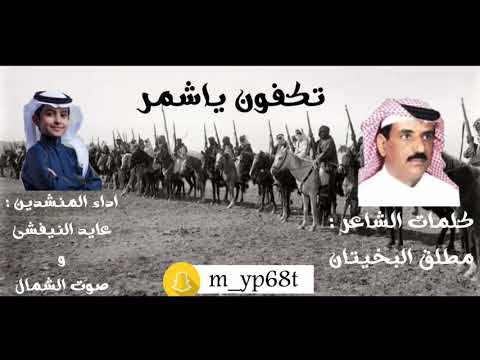 شيلة تكفون ياشمر اداء شبل حائل كلمات مطلق البخيتان