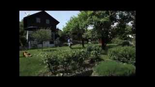 Konshus  Life Coaching Promotional Video 2013