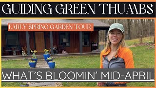 EARLY SPRING GARDEN TOUR / PICKING DAFFODILS / FLOWER BED MAINTENANCE //WHAT&#39;S BLOOMIN&#39; MID-APRIL