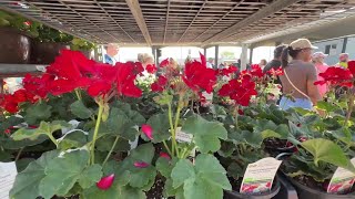 Eastern Market Flower Day 2026: Everything you need to know