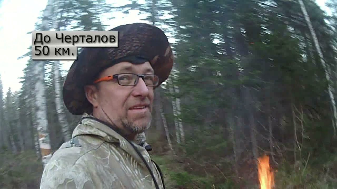 тайга пешком. тайга пешком. поход в тайгу.