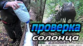 ЛЕСНОЙ ЖИТЕЛЬ