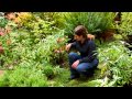 How do I Garden on a Sloped Yard? How do I Garden on a Sloped Yard?