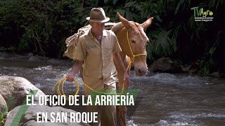 El oficio de la arrieria en San Roque  - TvAgro por Juan Gonzalo Angel Restrepo