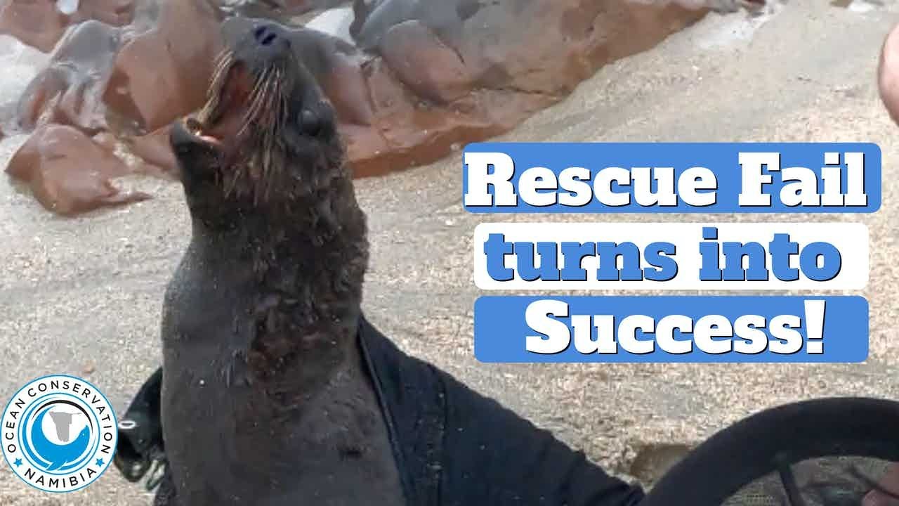 Failed Rescue Turns into Rescue Win - YouTube