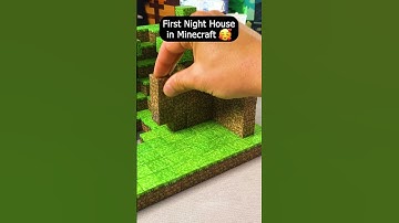 First House with MAGNETIC Minecraft BLOCKS 🧲😍