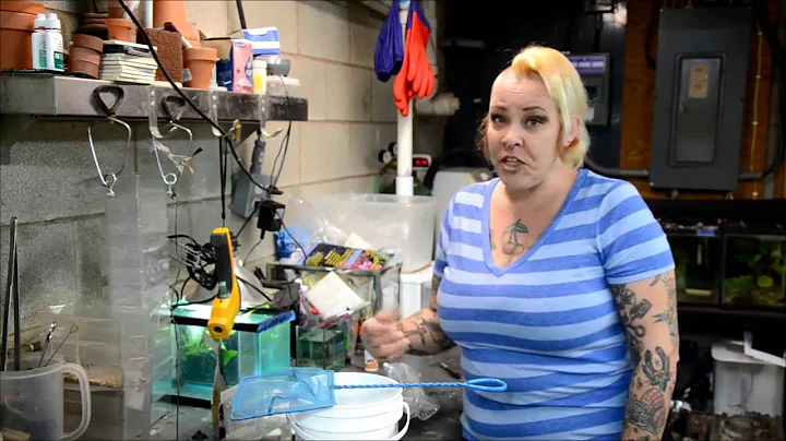 How I Acclimate Freshwater Fish and Inverts and Why-Tuesday Tip