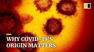 Nature or lab leak? Why tracing the origin of Covid-19 matters