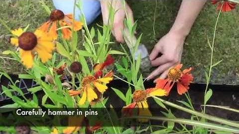 How to prepare and install Smartedge (official)