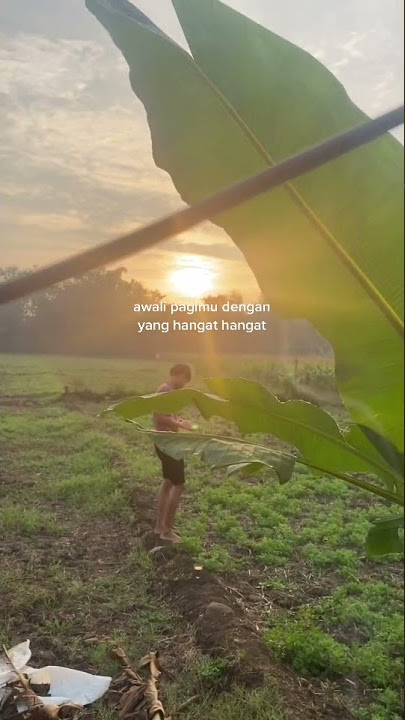 story wa 30 detik || jumat berkah
