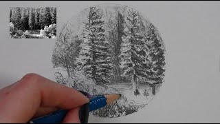 How to Draw Trees | Creating Textures with Pencil &amp; Charcoal, Part 2