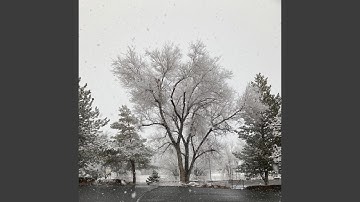 Revelations V II Confusion (Remastered 2025)