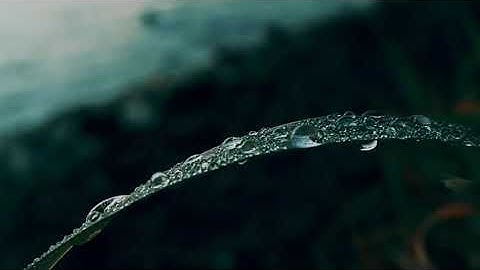 Thumbnail of Denny Caknan Ft. Ndarboy Genk - Mendung tanpo udan (Lirik)